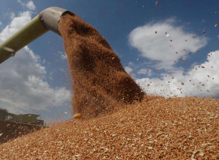 Турция подготовила "дорожную карту" по разблокировке экспорта украинского зерна